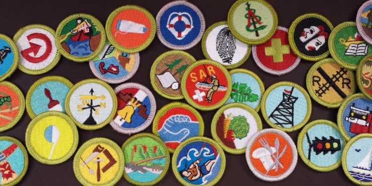 For all 136 merit badges?