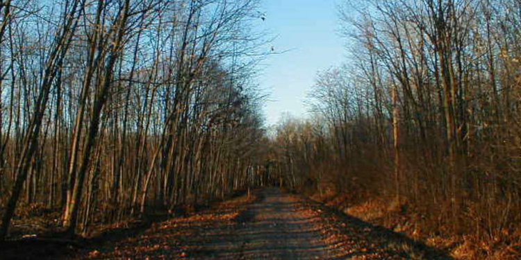 Boy Scout Lane