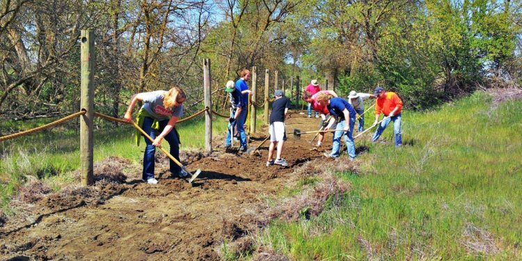 Boy Scout troop helps install