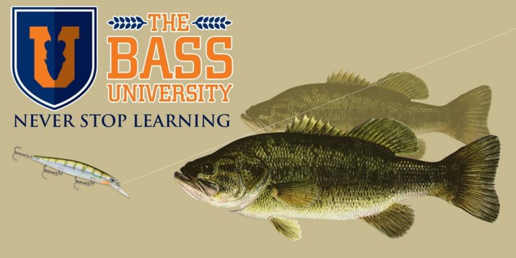 Bass University Fishing