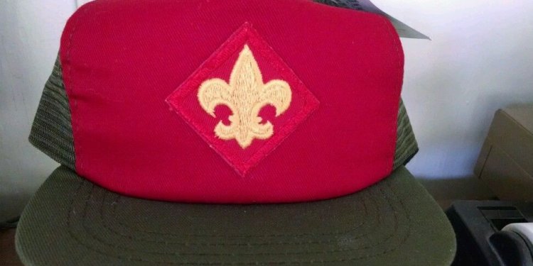 Boy Scout California campaign hat pin