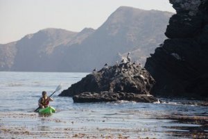 Kayaking Catalina Island Emerald Bay Exploring