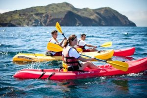 Kayaking Emerald Bay Catalina Island Group