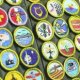Boy Scout California merit Badge College