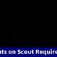 Boy Scouts of California Eagle Scout requirements